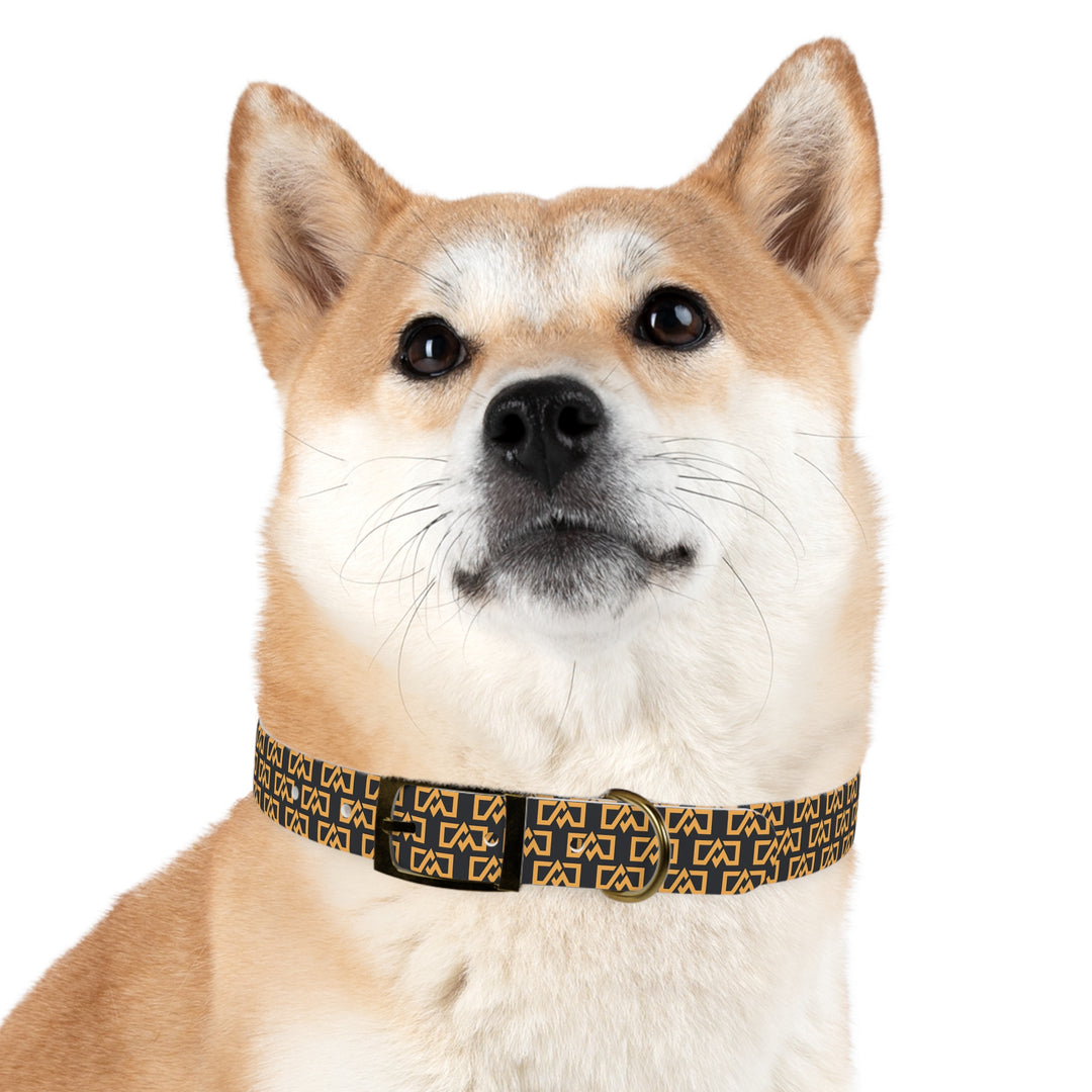 Stylish Adventure Motors Dog Collar - Modern Pet Accessory