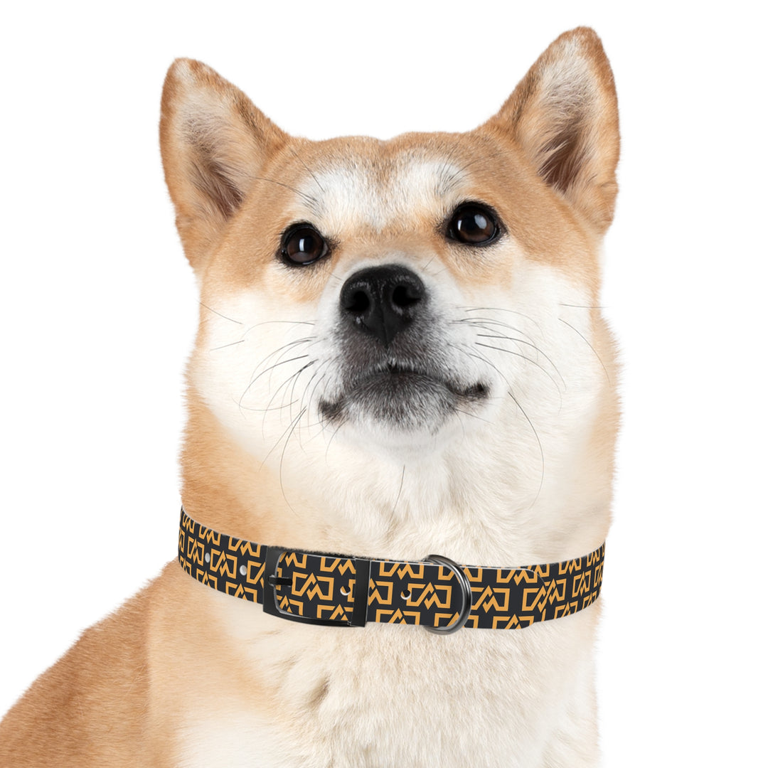 Stylish Adventure Motors Dog Collar - Modern Pet Accessory