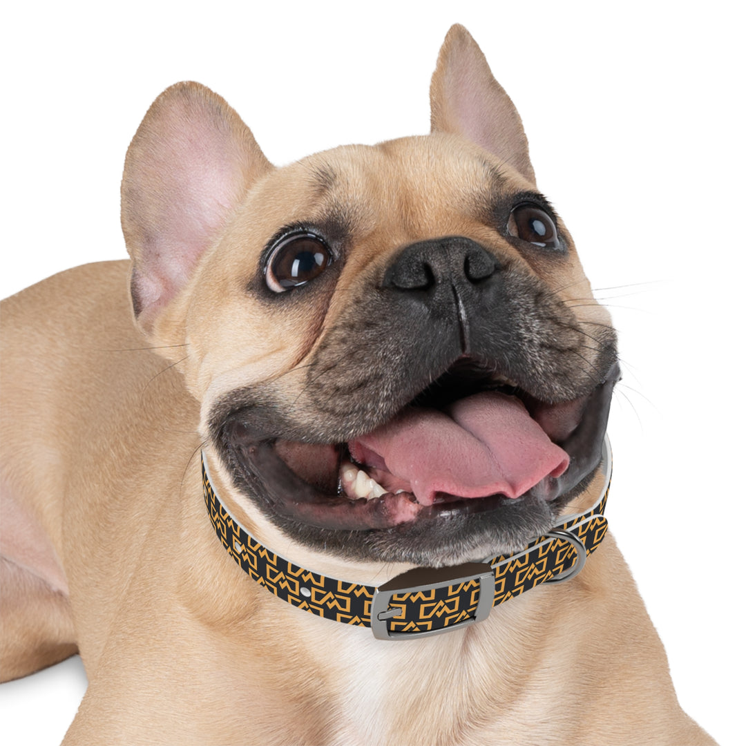 Stylish Adventure Motors Dog Collar - Modern Pet Accessory