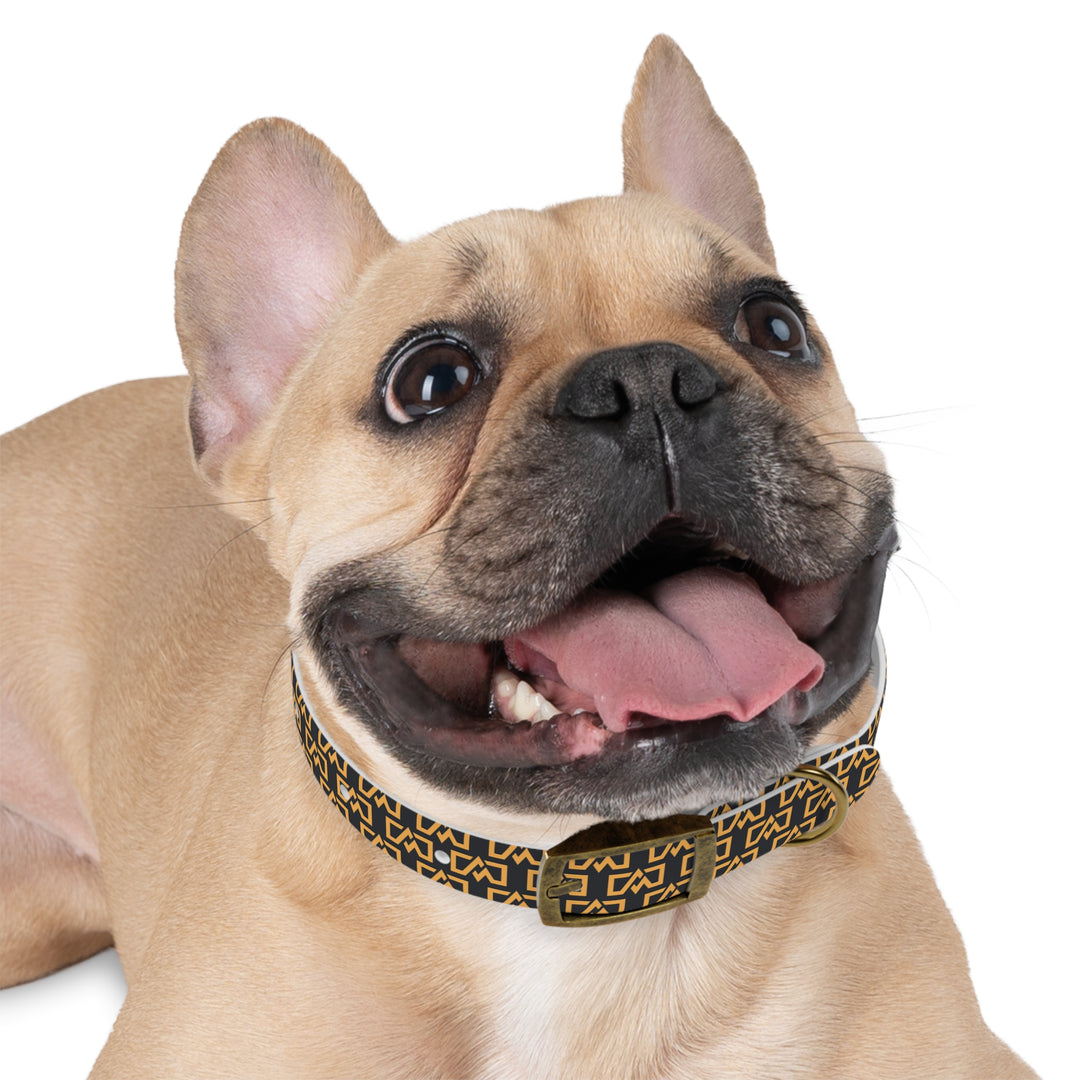 Stylish Adventure Motors Dog Collar - Modern Pet Accessory